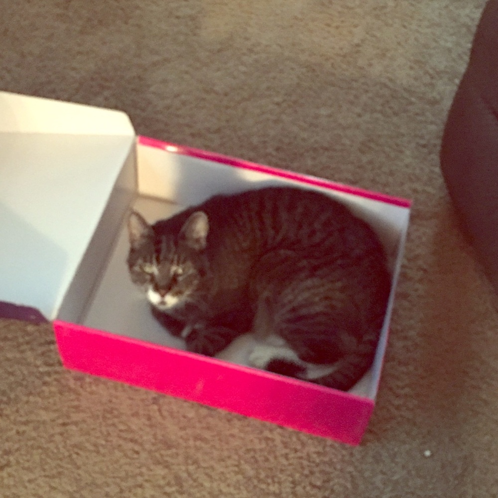 This is my beautiful and talented Daisaroo (Daisy)